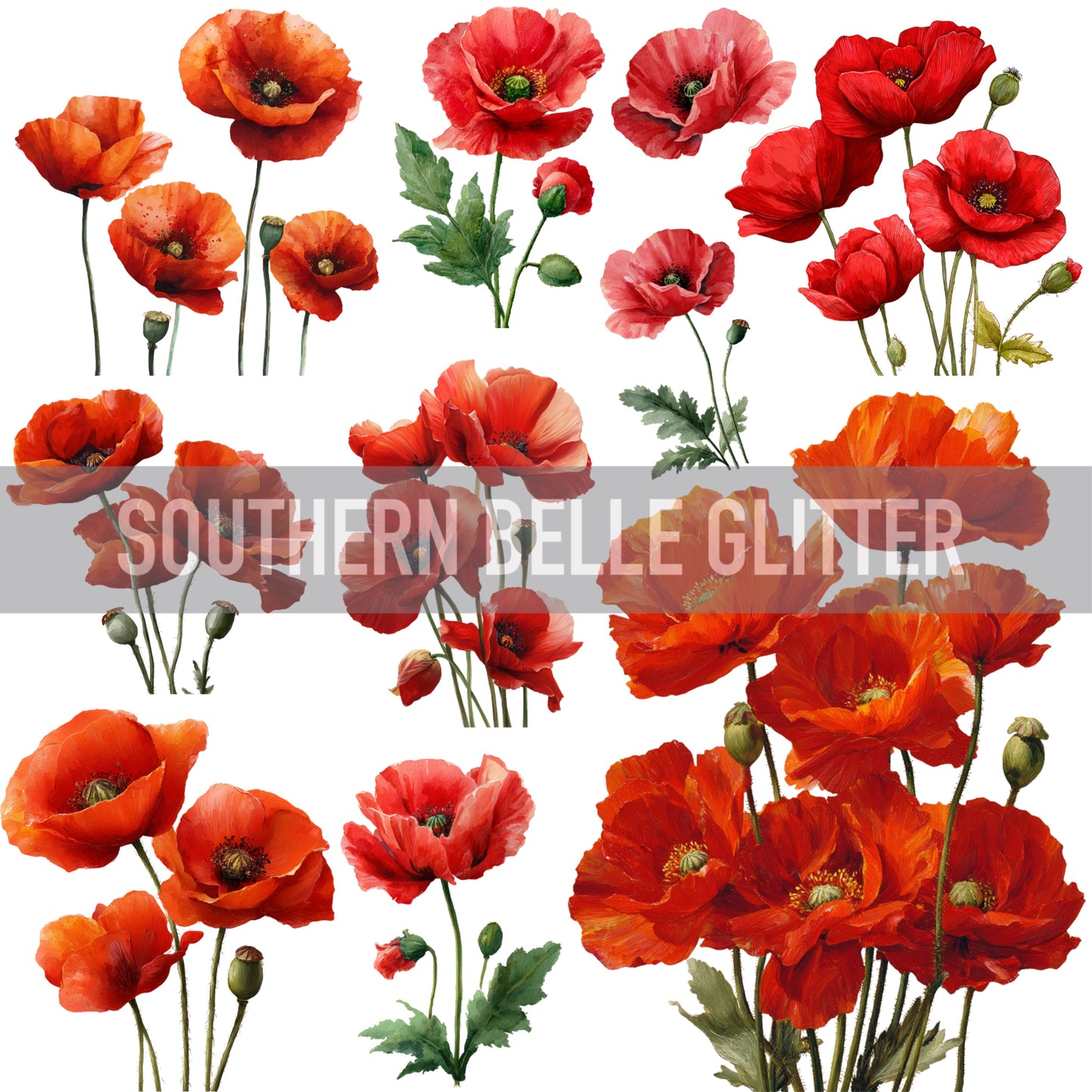 Red poppies