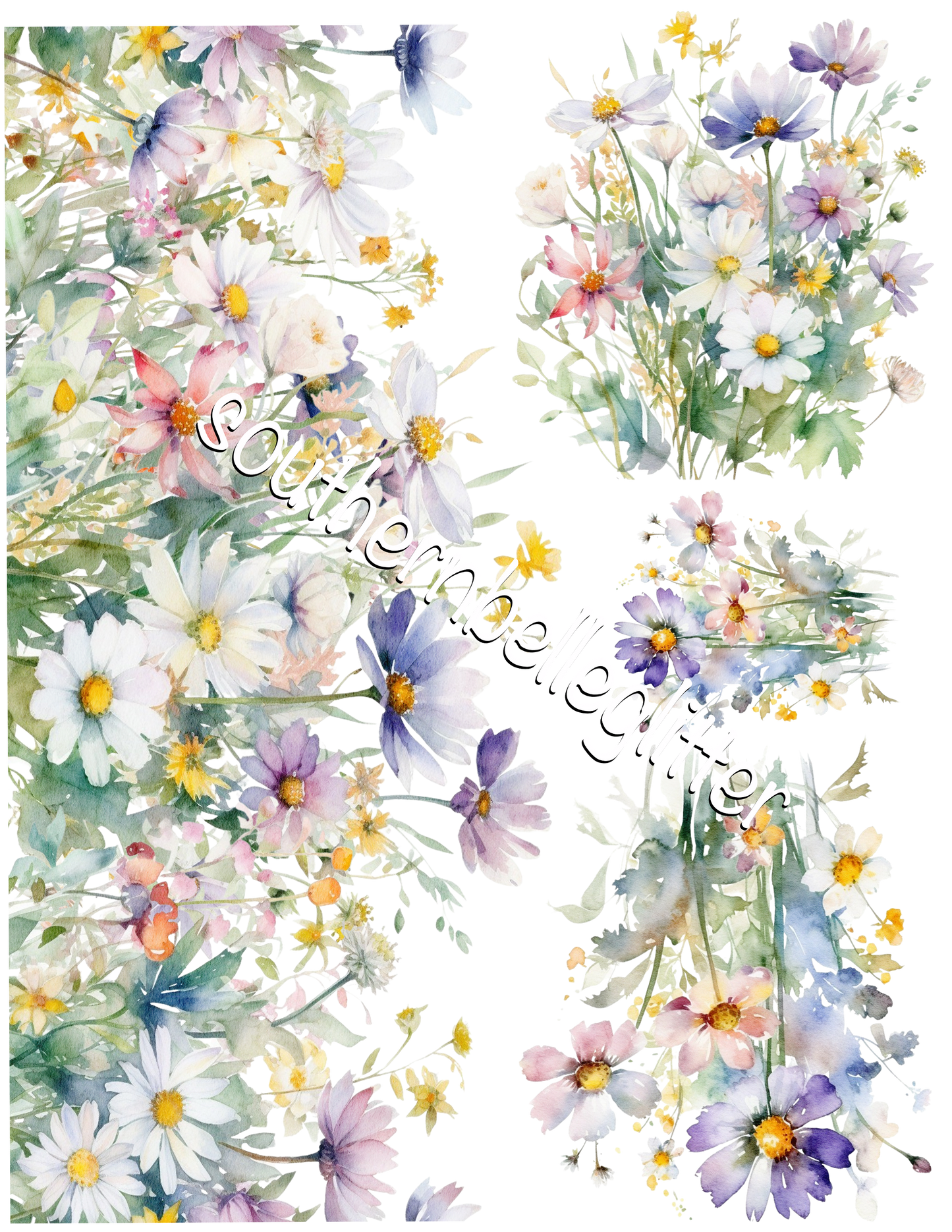 BBB Field Of Daisies