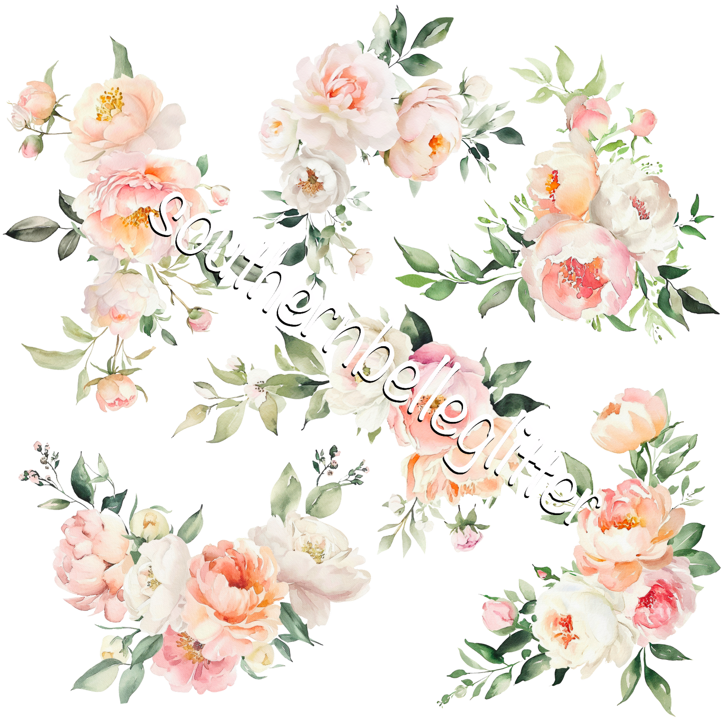 BBB Peach Peony’s