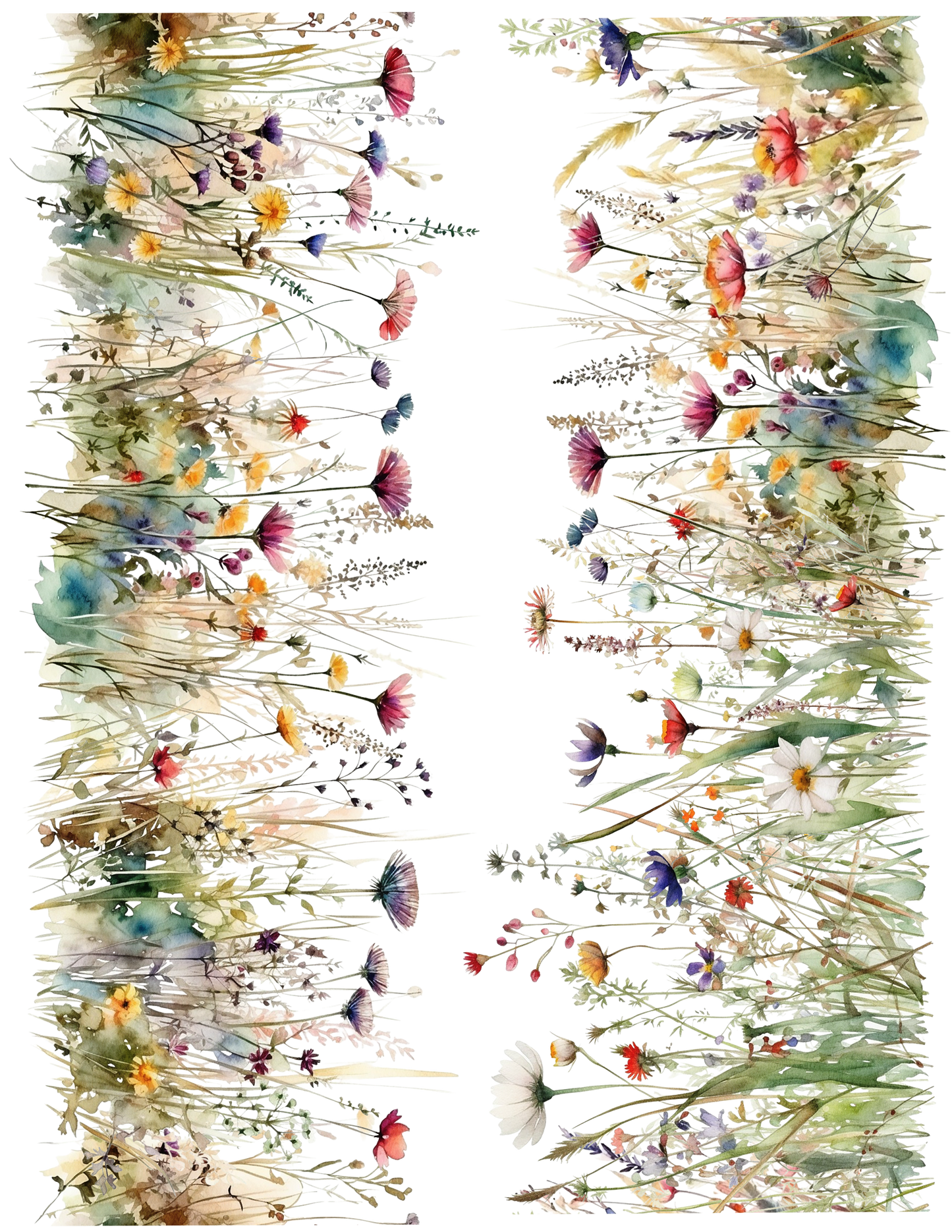 BBB Wildflower Border