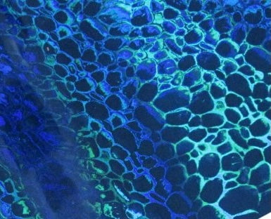 Blue & Green Foil Bundle