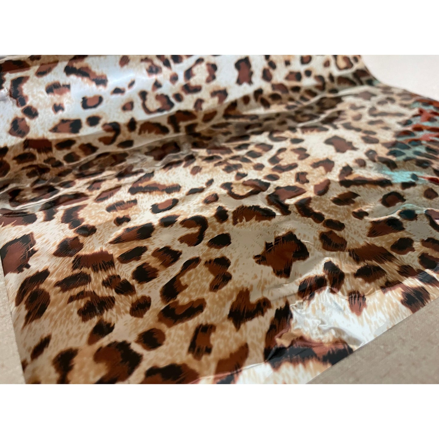 Champagne Cheetah