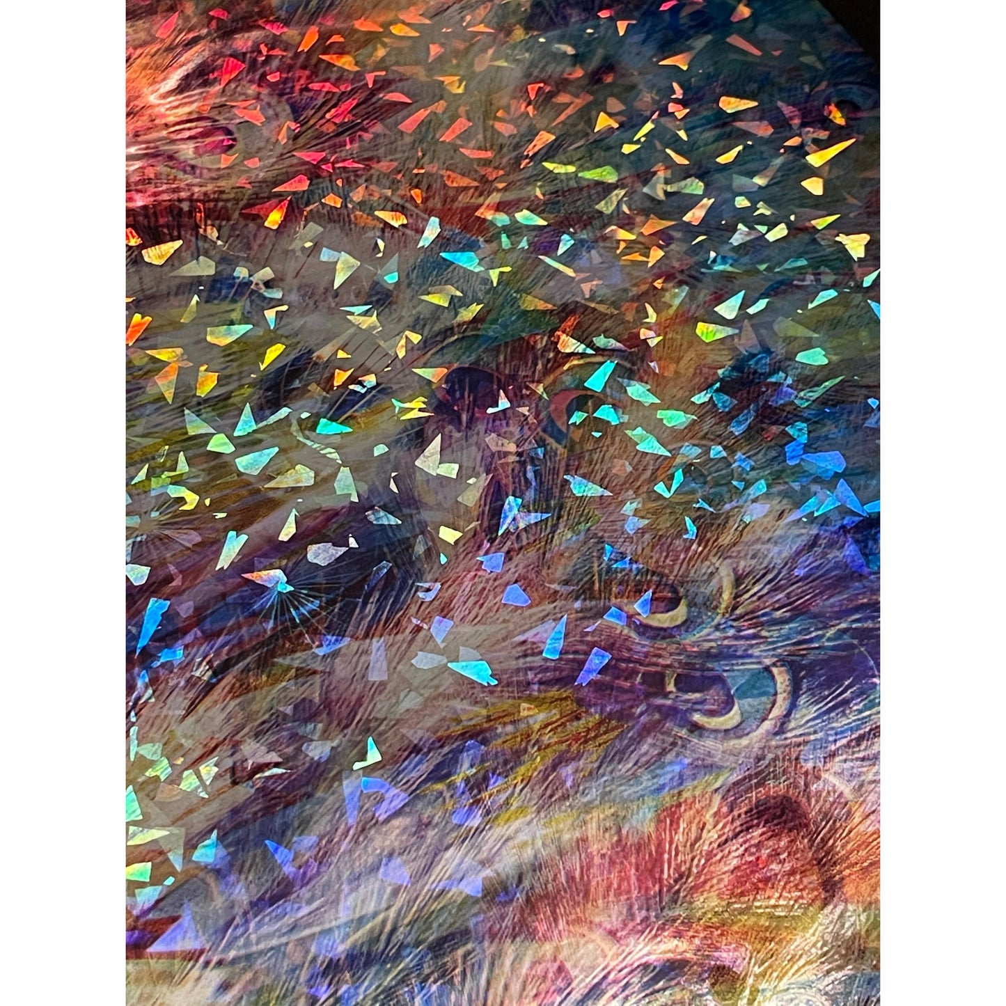 Proud Peacock (Distressed Release)