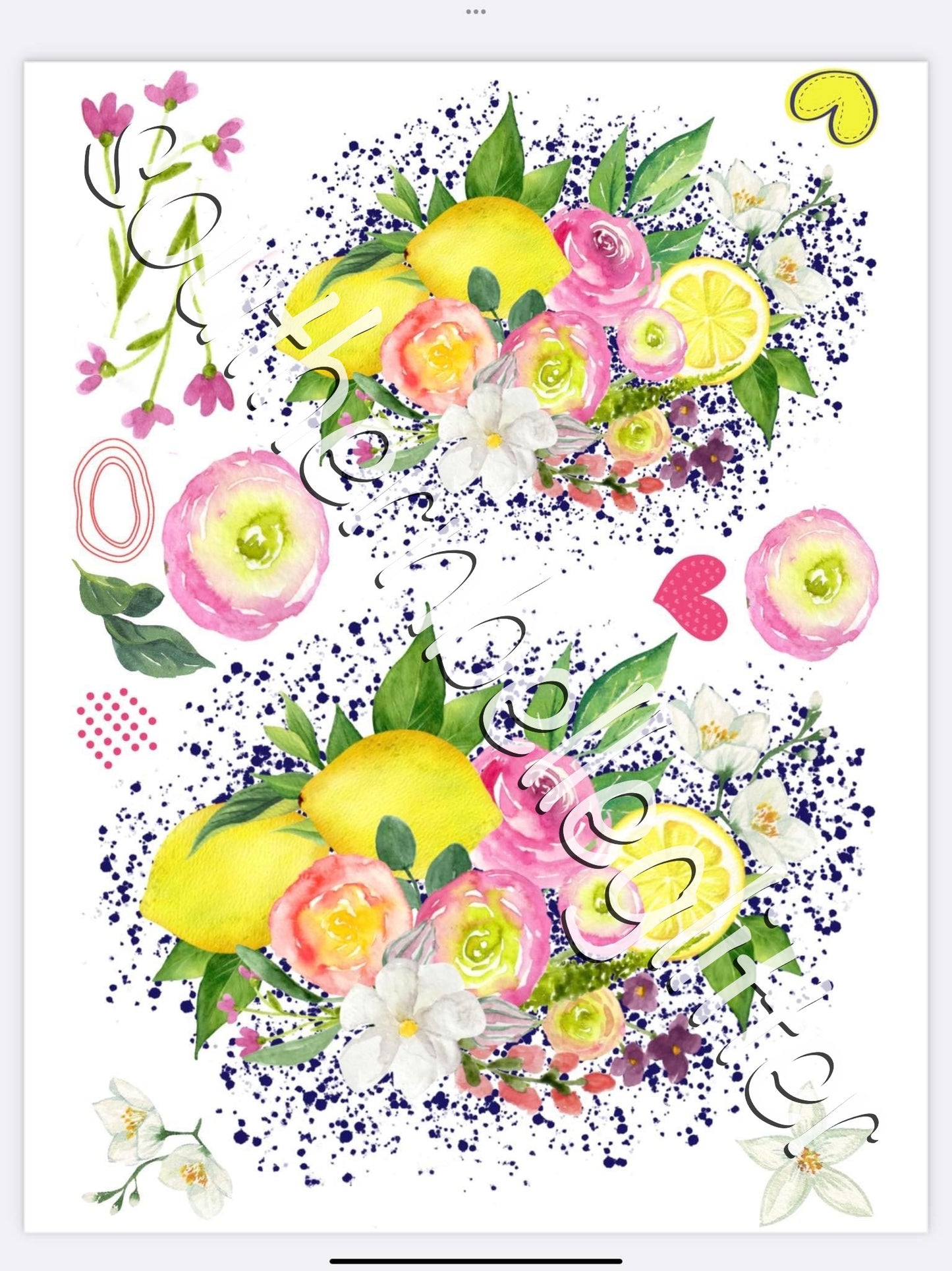 Glamour Tribe Bees & Lemons