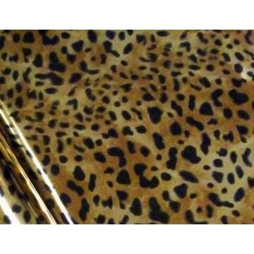 Leopard Chestnut