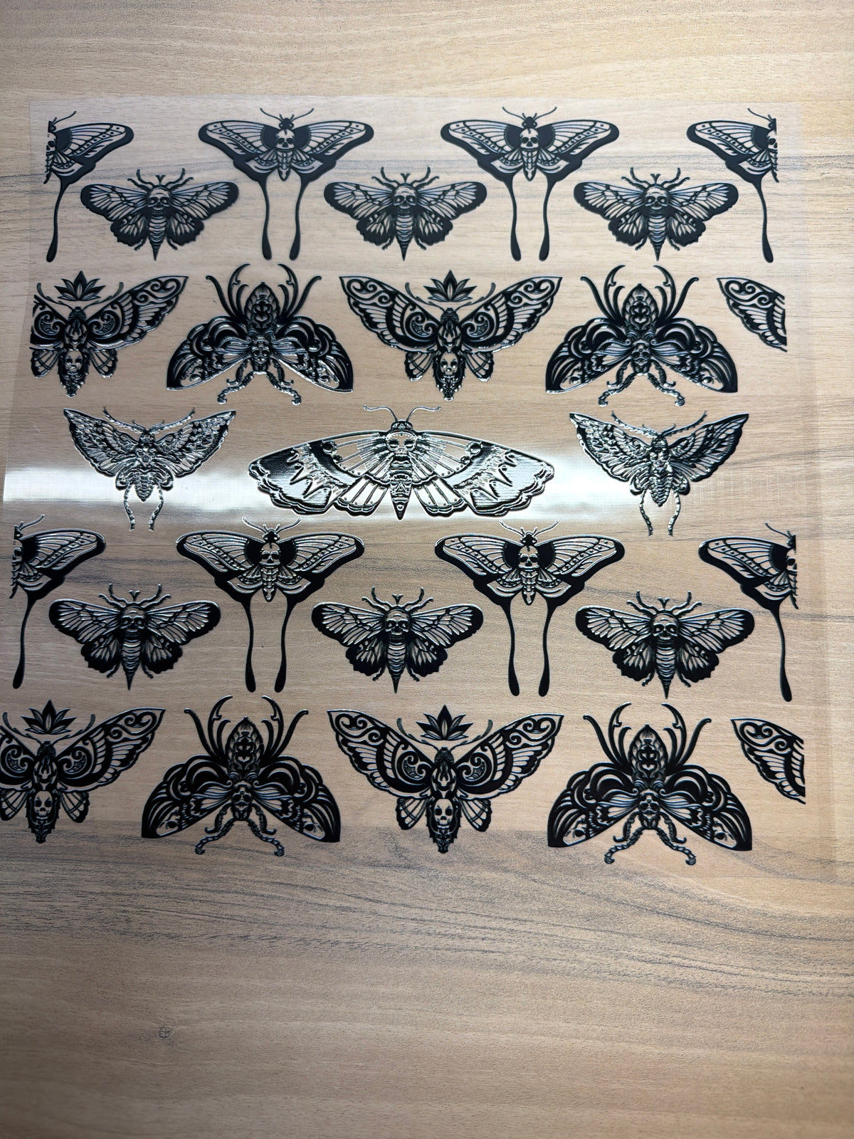 Moths