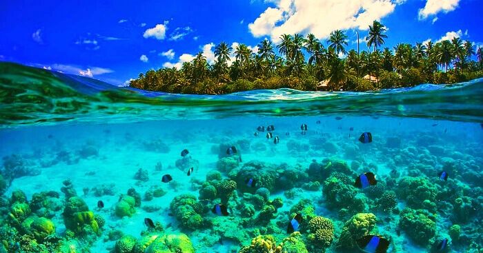 Coco Island