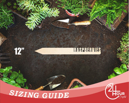 Unfinished Wood Raspberries Garden Stake | DIY Craft Cutout | up to 24" DIY