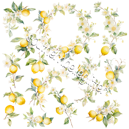 Brittany Barnes 11.5"x11.5" Collection (13)