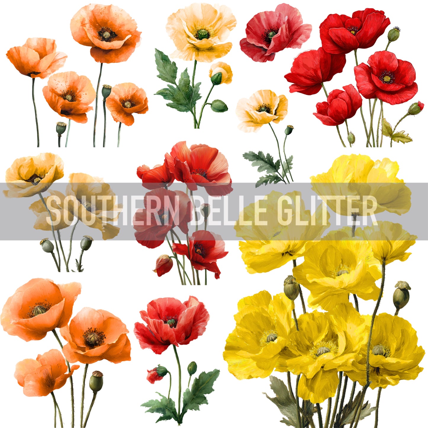 Multi color poppies