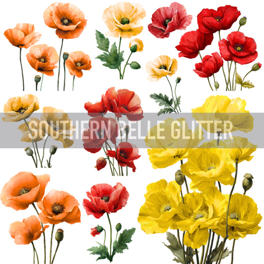 Multi color poppies