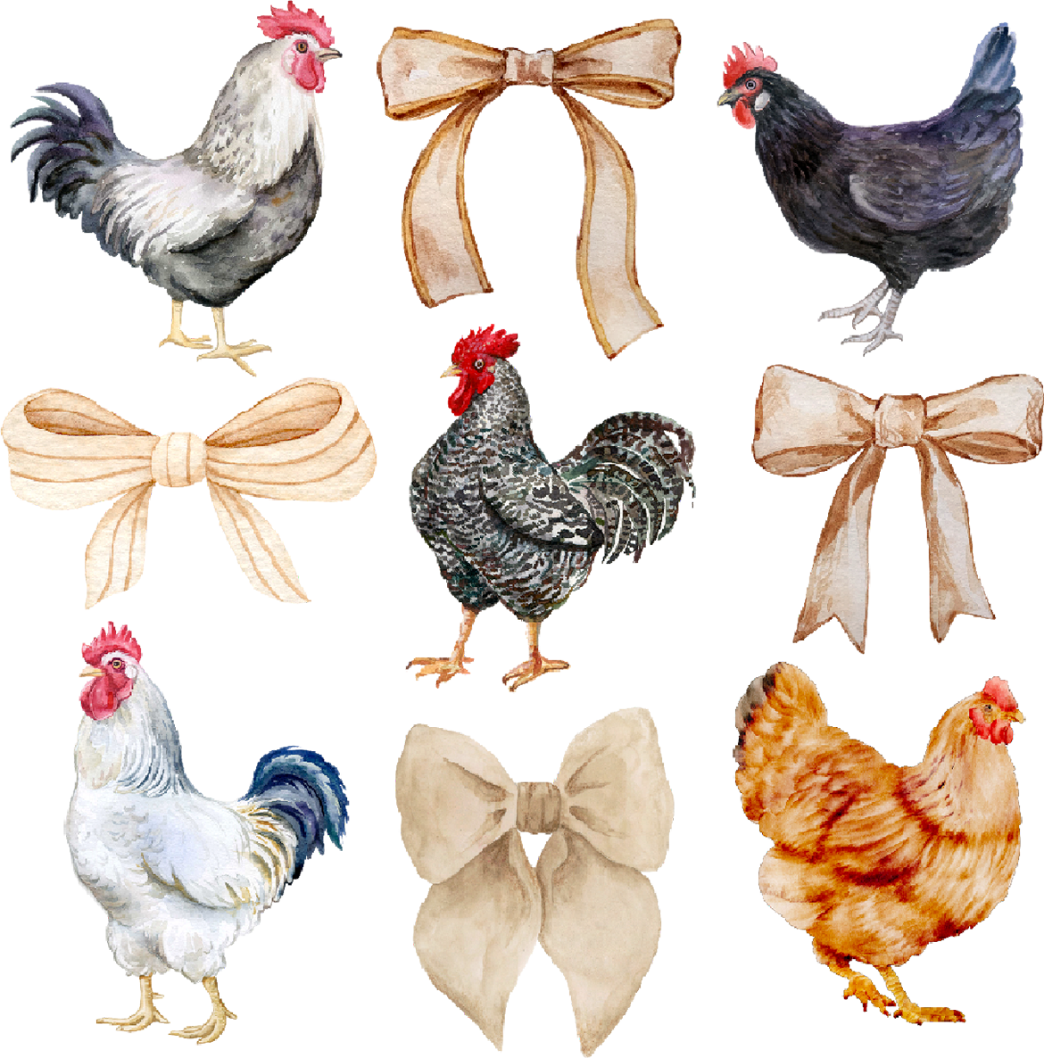 Chickens & Bows