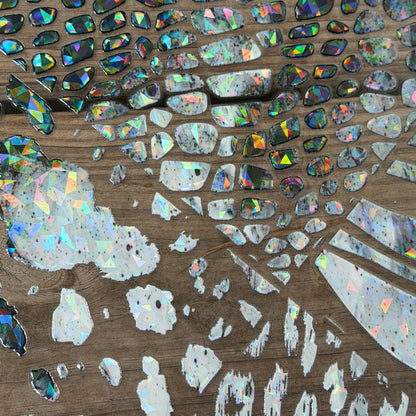 Holographic Animal Quad