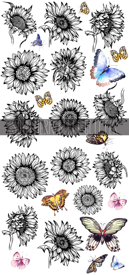 Sunflower Outline