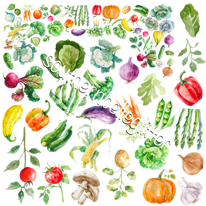 Brittany Barnes 11.5"x11.5" Collection (13)