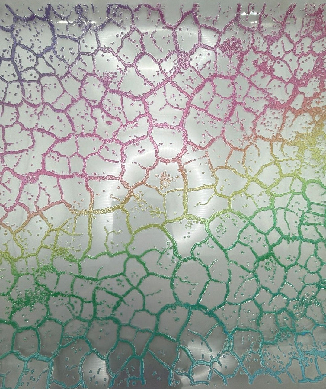 Holo Pastel Crackle