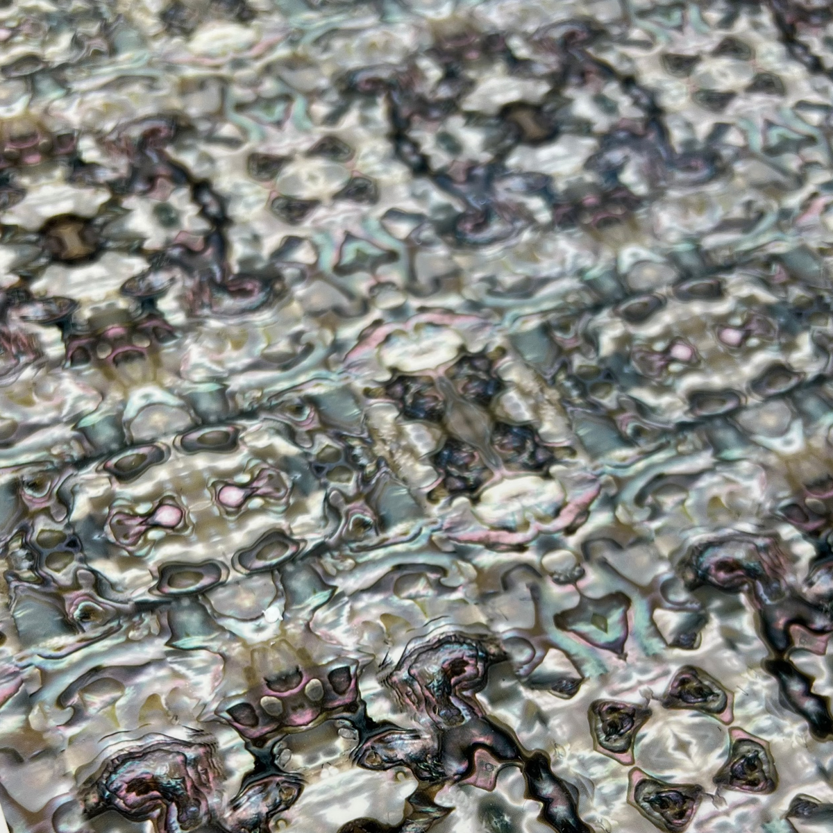 Abalone foil