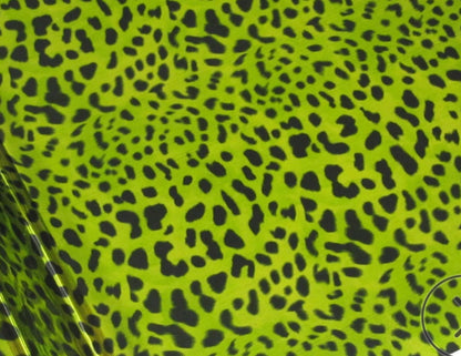 Animal Print Bundle