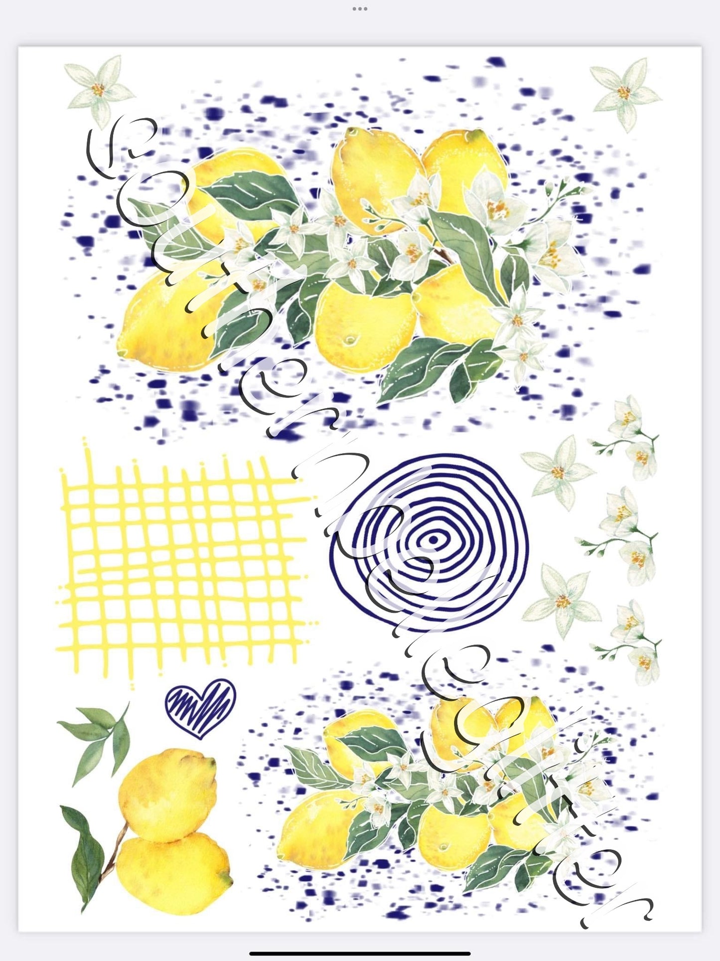 Glamour Tribe Bees & Lemons